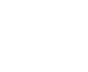 logo-and-text-white